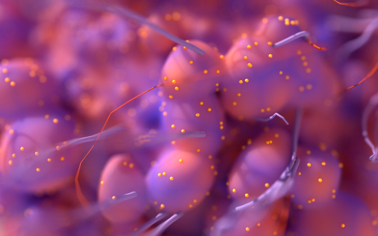 Frontiers In Oncology Frontiers In Oncology